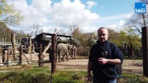 4/5 : la maison de retraite des éléphants au zoo de Karlsruhe