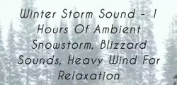 Winter Storm Sound for deep sleep purpose - 1 Hours Of Ambient Snowstorm