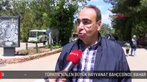 TÜRKİYE'NİN EN BÜYÜK HAYVANAT BAHÇESİNDE BAHAR HAZIRLIĞI