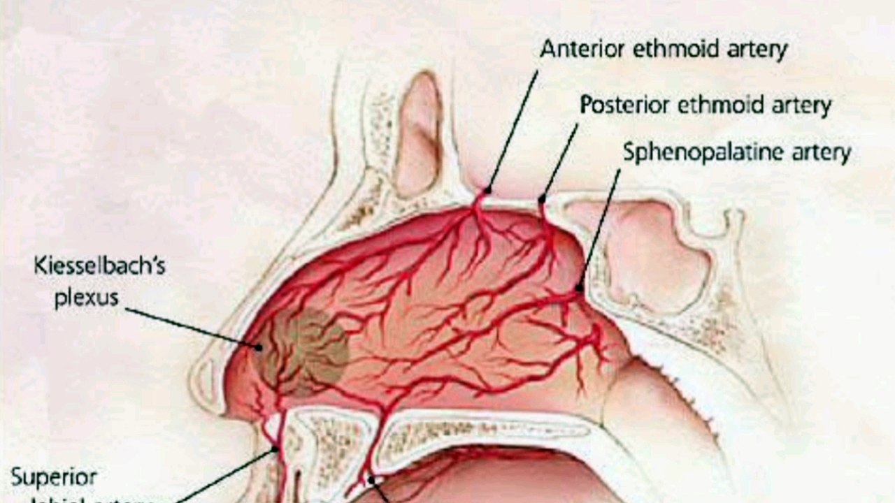 How to stop nasal bleeding