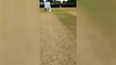 Headcam captures the moment cricket umpire was struck on the head by deflected ball