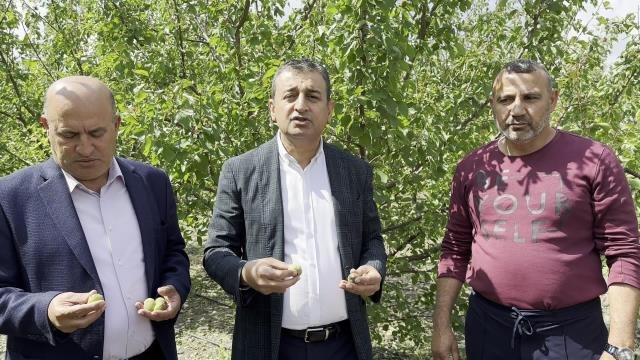 Burhanettin Bulut, Doludan Zarar Gören Üreticinin Sorunlarını Dinledi: Üreticinin Zararları Devlet Tarafından Karşılanmalı