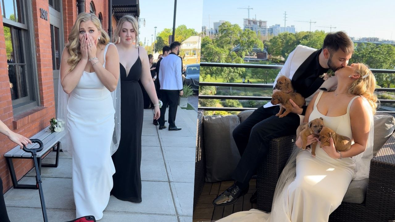 Groom Surprises Bride By Bringing Adoptable Puppies To Their Wedding | Happily TV