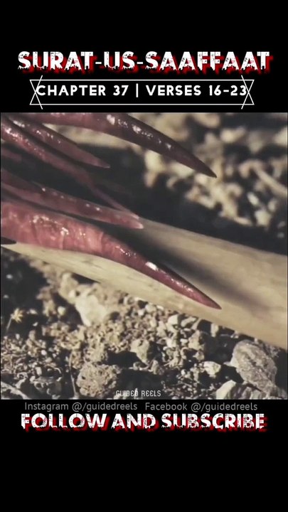 Surat-us-Saaffaat Urdu Translation 16-23 | #islamicstatus #islamicreels #surahsaaffaat #GuidedReels