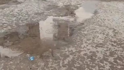 उज्जैन: हवाओं के कारण लगातार मौसम में परिवर्तन, सुबह से सूर्य भगवान छिपे रहे शाम को बादल बरस पड़े