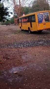 देखें वीडियो: बारिश के साथ गिरे ओले, आंधी तूफान से गिरे पेड़