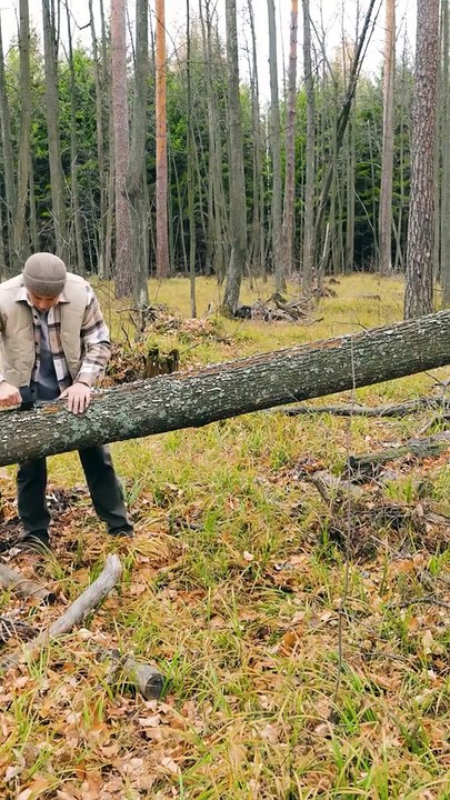 Wilderness Solo Bushcraft Adventure: Unplugged #Shorts | Asad Entertainment
