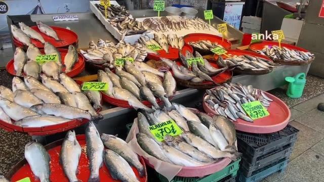 Trabzonlu Balıkçı: Vatandaş Yaz Sezonunda da Balıksız Kalmaz