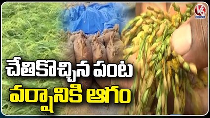 Farmers Huge Loss With Heavy Rains With Hailstorm _ Mahbubnagar _ V6 News (3)