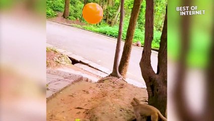 This Man Swim in Extreme Cold Water *Shocking Videos* || Best of Internet