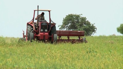 حجم ثروات السودان وحجمها في الإنتاج العالمي