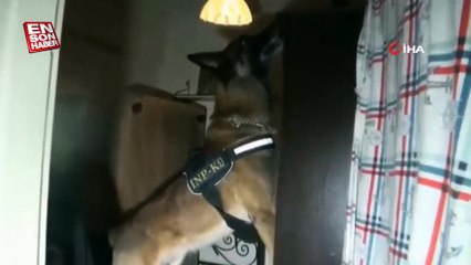 İstanbul'da uyuşturucu operasyonu: 20 şüpheli yakalandı