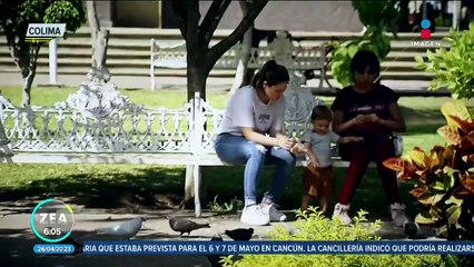 Gobierno de Colima ejerce violencia institucional contra mujeres embarazadas