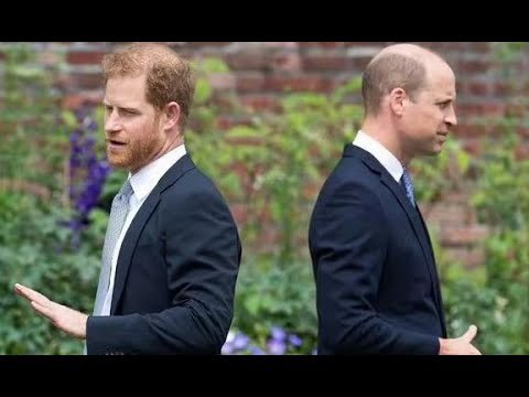 William è coinvolto nella battaglia legale di Harry mentre l'avvocato di Duke afferma di aver fatto