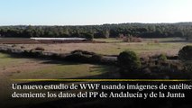 Una nueva investigación de WWF alerta de que se podrían legalizar hasta 1900 hectáreas de cultivos ilegales en Doñana, más del doble de las declaradas por el PP y VOX