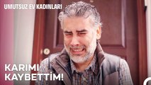 Cemil, Handan'ın Mektubunu Buluyor - Umutsuz Ev Kadınları