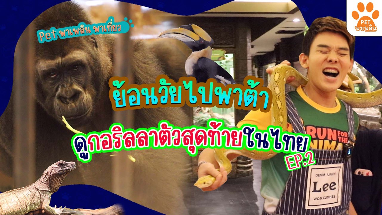 Pet พาเพลิน พาเที่ยว  สวนสัตว์พาต้าปิ่นเกล้า ตะ...
