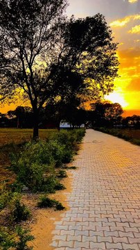 #nature #naturephotography #naturelovers #beautiful