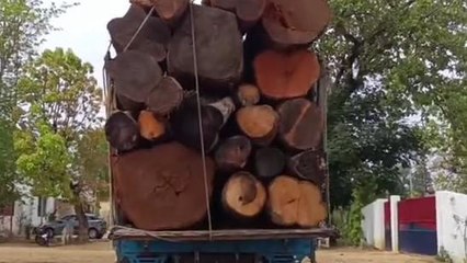 बालघाट: वन विभाग ने की बड़ी कार्रवाई, ट्रक और क्रेन को किया जप्त