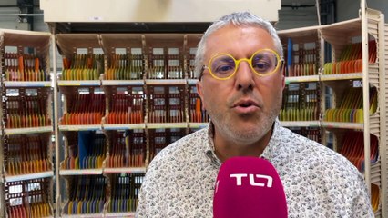 À Saint-Chamond, vingt nouveaux facteurs prêtent serment