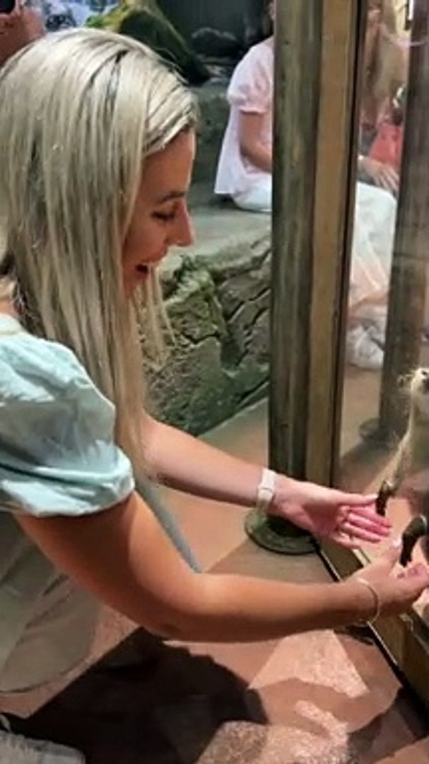 ⁣Holding Hands With Otters at the Dubai Aquarium