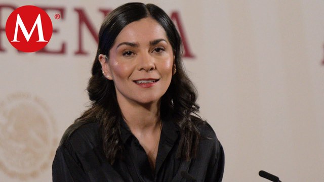 Las mentiras de la oposición sobre la venta del avión presidencial ‘TP01’: Vilchis