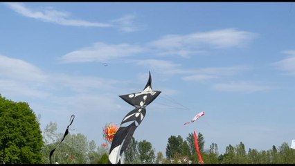 Il cielo di Ferrara si riempie di aquiloni per Festival Vulandra