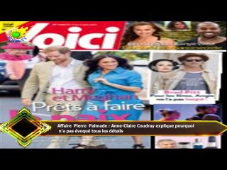 Affaire Pierre Palmade : Anne-Claire Coudray explique pourquoi  n'a pas évoqué tous les détails