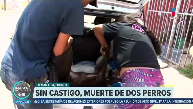 Amenazan a dueños de perros asesinados a machetazos en Temamatla