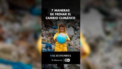 7 maneras de frenar el cambio climático