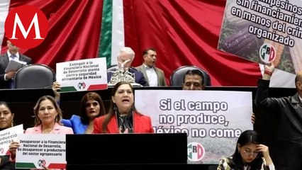 Descargar video: Diputados aprueban extinción de Financiera Rural; AMLO lo considera un 