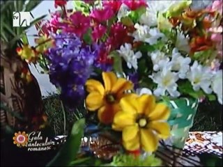 Ion Fanescu - Maica sa nu ma omori & Hai la brau, la brau, la brau  (Gala cantecului romanesc - 26.07.2014)