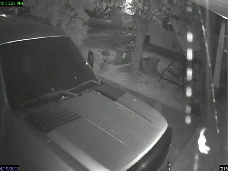 Security Camera Captures Spider Building Its Web