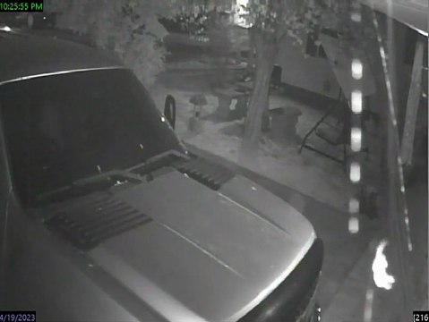 Security Camera Captures Spider Building Its Web