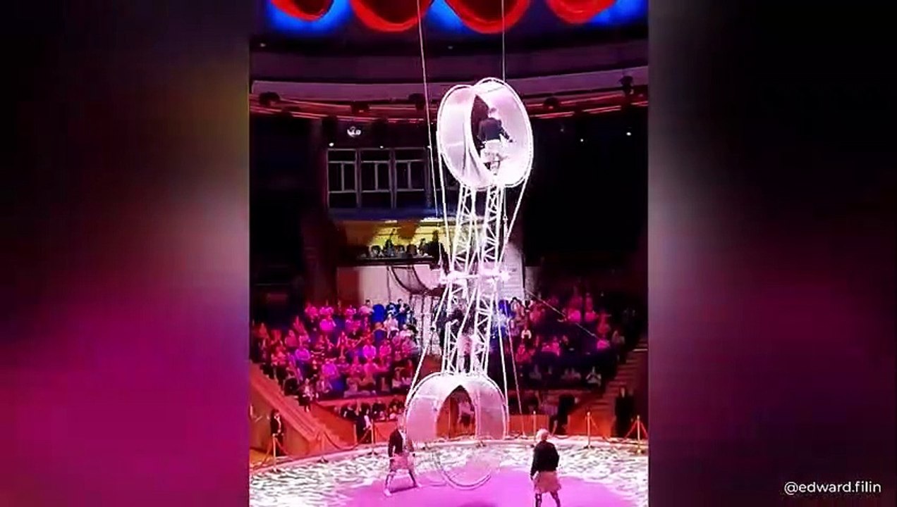 Like a Boss Compilation   Most Amazing 32 Minutes Ever!