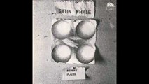 Satin Whale – Desert Places Rock, Krautrock, Prog Rock 1994