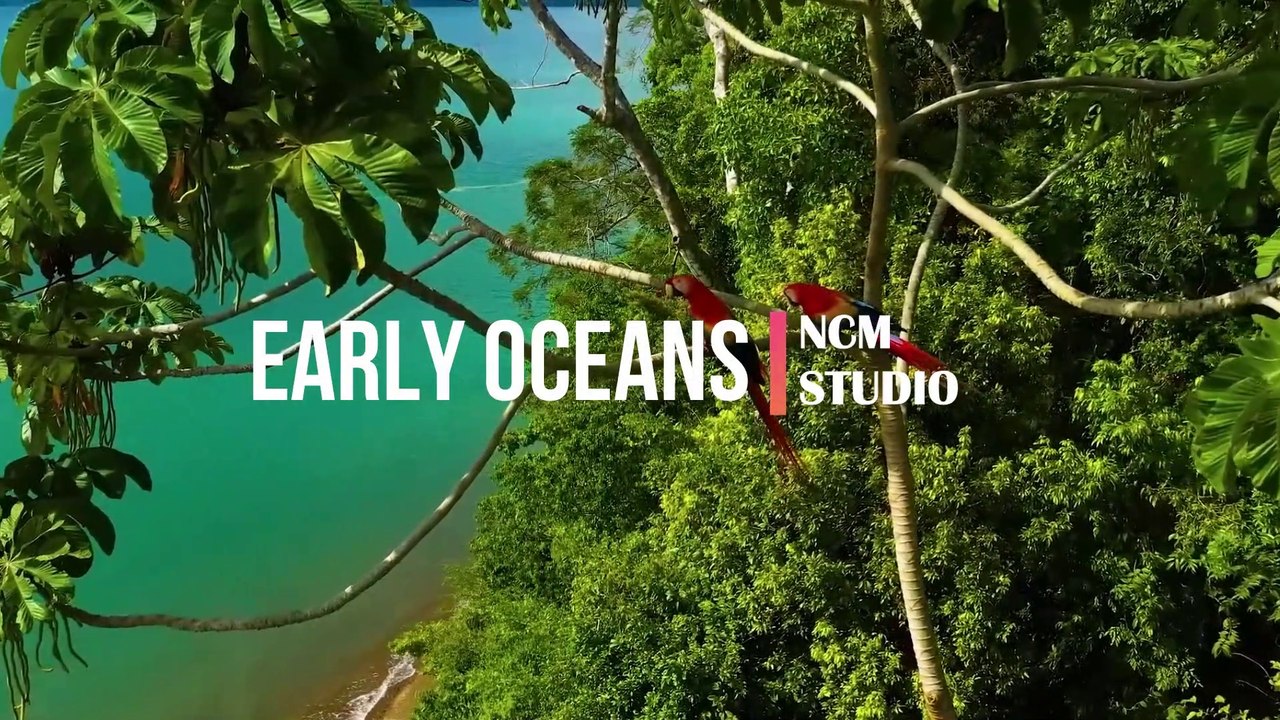 Early Oceans - Freedom Trail Studio:  Alternative Music, Happy Music, Travel Music