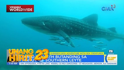Diving with the sea creatures around the country! | Unang Hirit