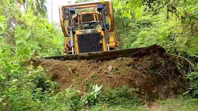 Caterpillar Bulldozer D6R XL Works 8 Hours Making Roads on Mountain Plantations