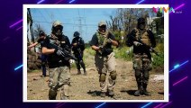 Menang Terus Lawan TNI-Polri, KKB Dibantu Tentara Bayaran AS