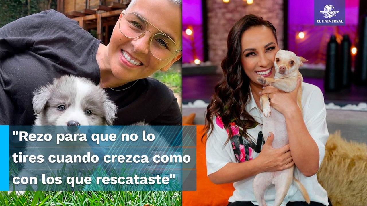 Consuelo Duval acusa a Federica Quijano de abandonar a perritos rescatados