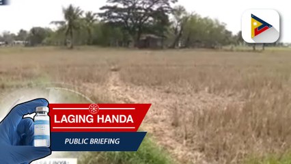 El Niño task force, tututok sa pagtugon sa posibleng epekto ng El Niño sa bansa