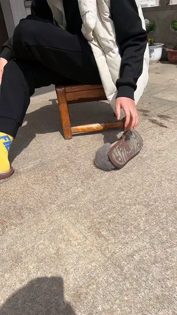 ⁣Cat Playing With Shoes | Cat Funny Moments | Cute Pets | Funny Animals #animals #pets #cats #cat #ca