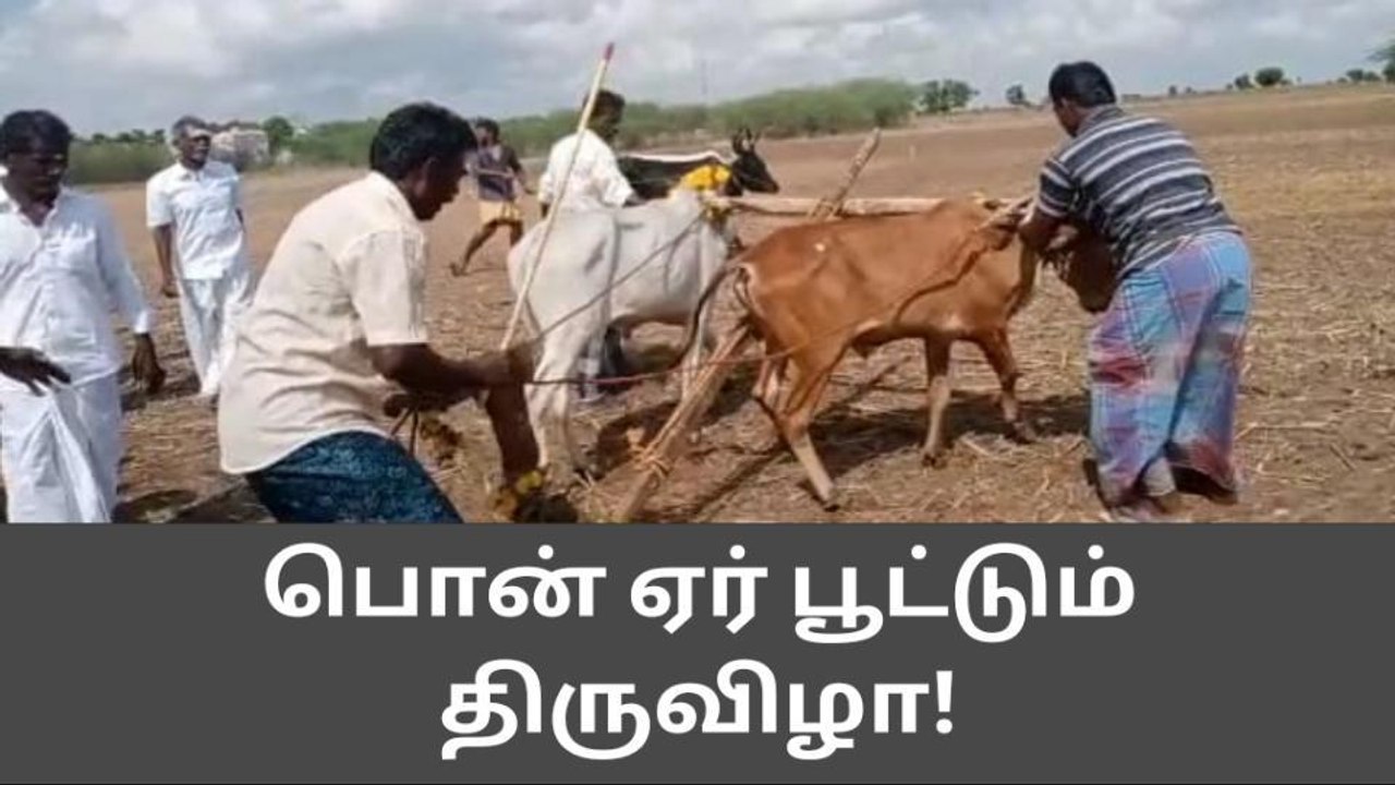 தூத்துக்குடி : பொன் ஏர் பூட்டும் திருவிழா !