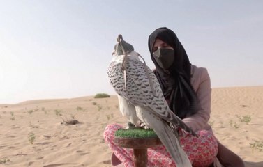 عائشة المنصوري.. صقارة إماراتية هوَت الصيد بالصقور منذ الصِغر