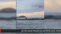 ŞİLE'DE ADADA MAHSUR KALAN KÖPEĞİ SAHİL GÜVENLİK KURTARDI