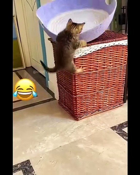 LOL