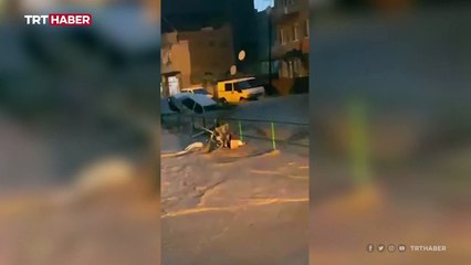 Balıkesir'de sağanakla gelen taşkın araçları sürükledi