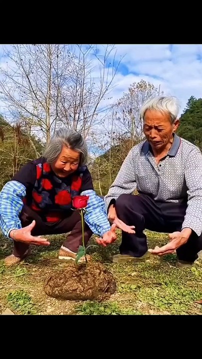 T0 5 funny videos in dailymotion #Funny #Funnyshorts