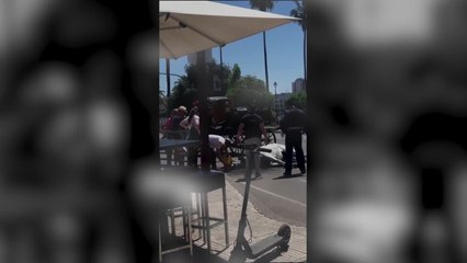 Muere un caballo en la Feria de Sevilla debido a las altas temperaturas
